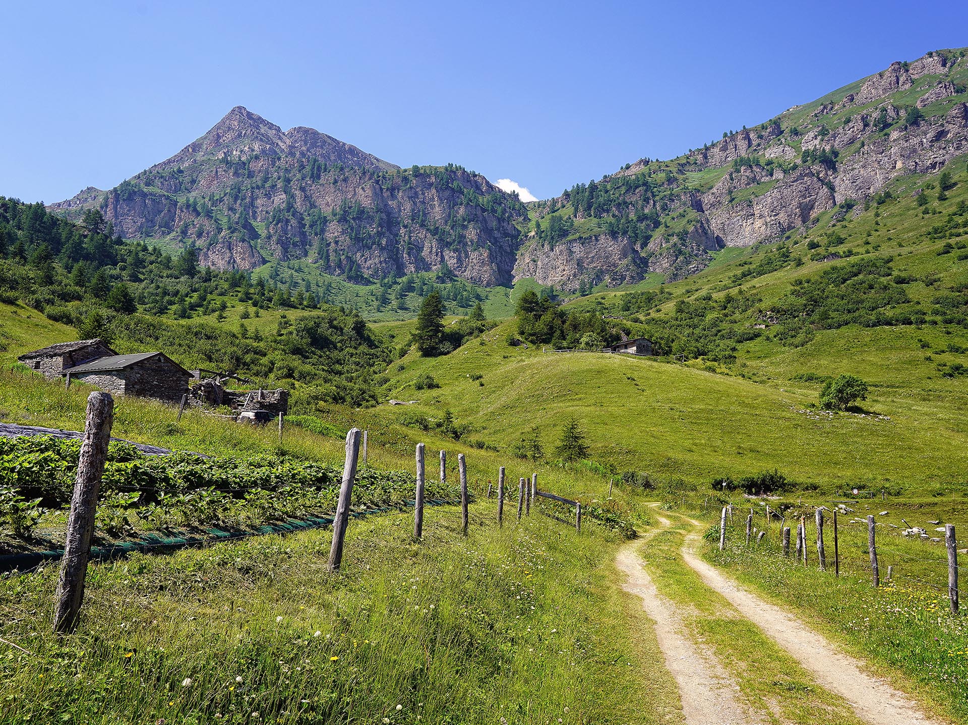 Tour 12 – Colle Intersile