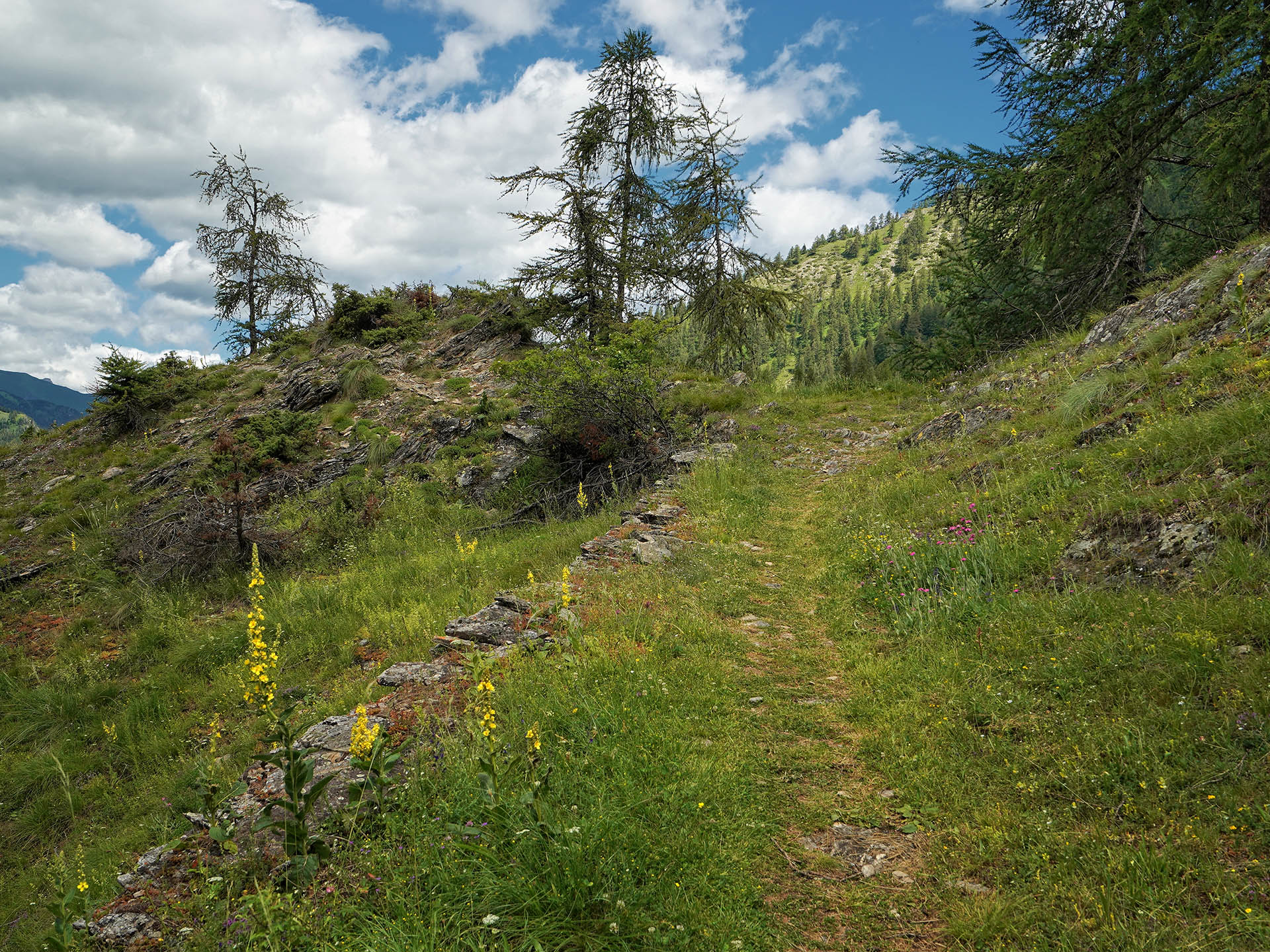 Tour 07 – Strada Napoleonica